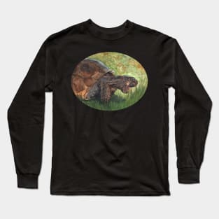 Gopher Tortoise by Sherrie Spencer Long Sleeve T-Shirt